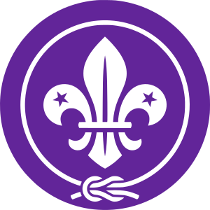 Scouts logo